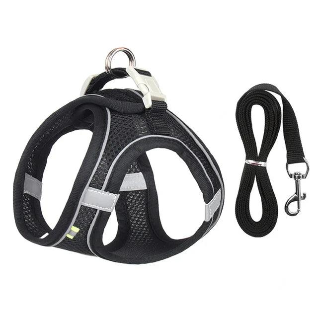 Collier Harnais Ajustable avec Laisse pour Animaux