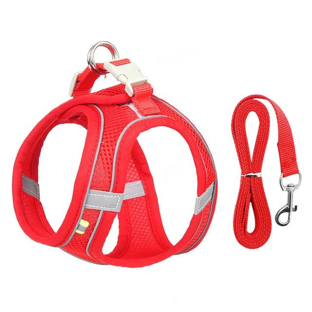 Collier Harnais Ajustable avec Laisse pour Animaux