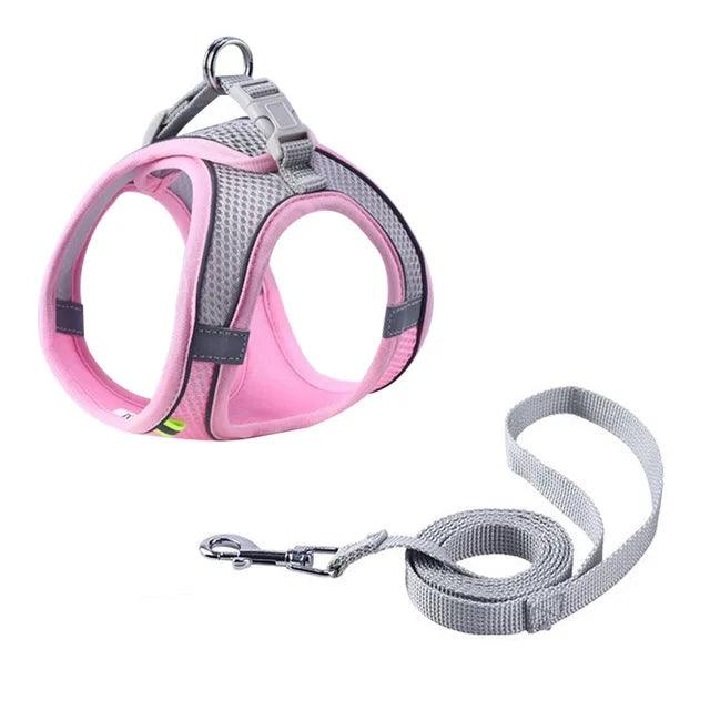 Collier Harnais Ajustable avec Laisse pour Animaux