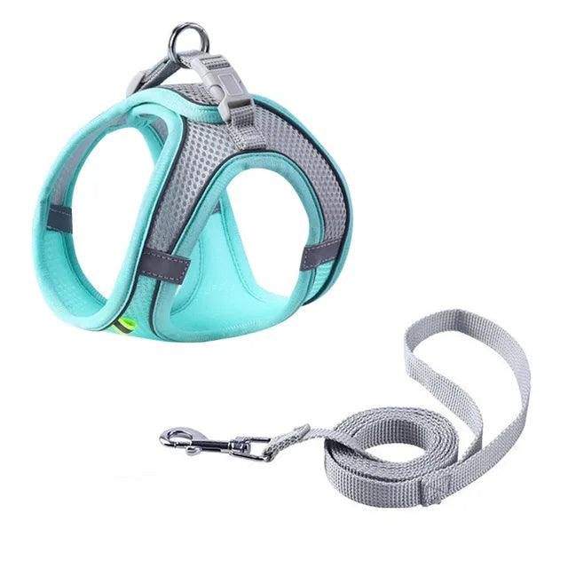 Collier Harnais Ajustable avec Laisse pour Animaux