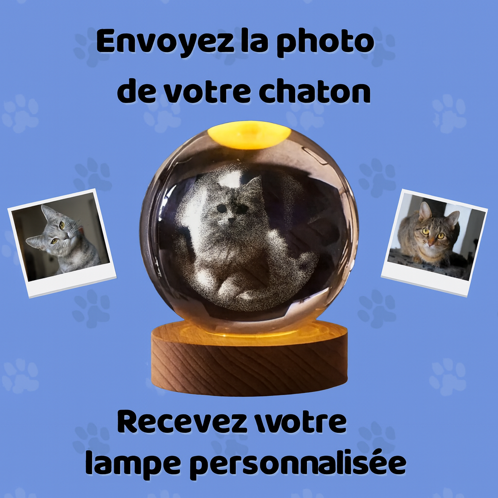 Lampe 3D Personnalisée – Avec la photo de votre chat