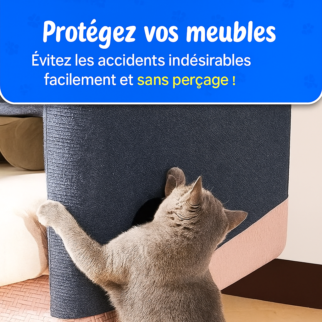 Tapis Adhésif Protecteur pour Griffes de Chat