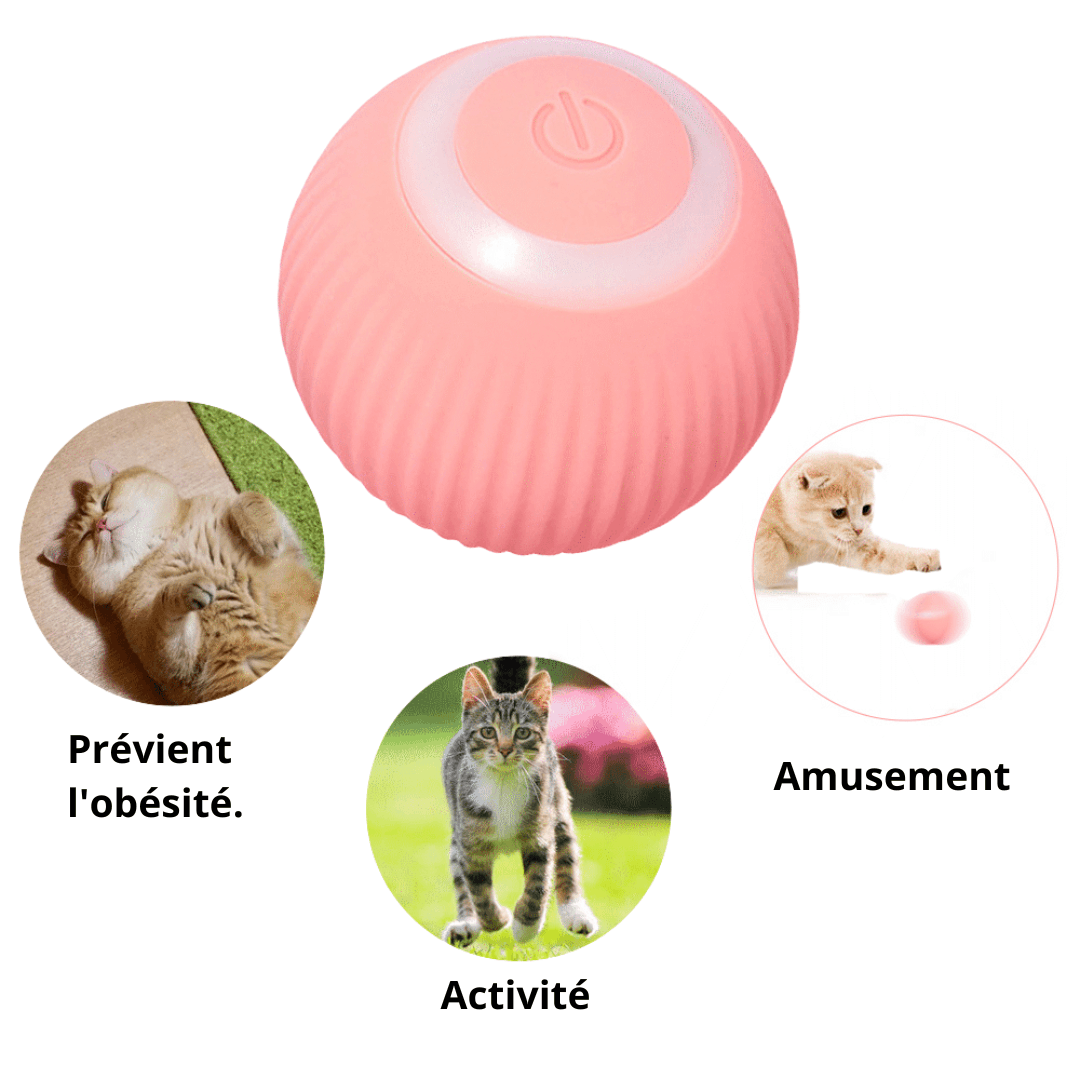 Jouet Boule Intelligente Électrique pour Chats