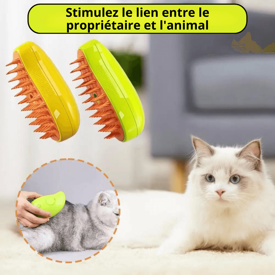 Brosse à vapeur rechargeable pour animaux