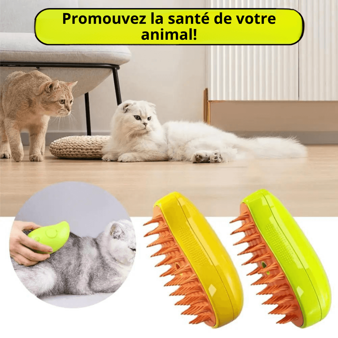Brosse à vapeur rechargeable pour animaux