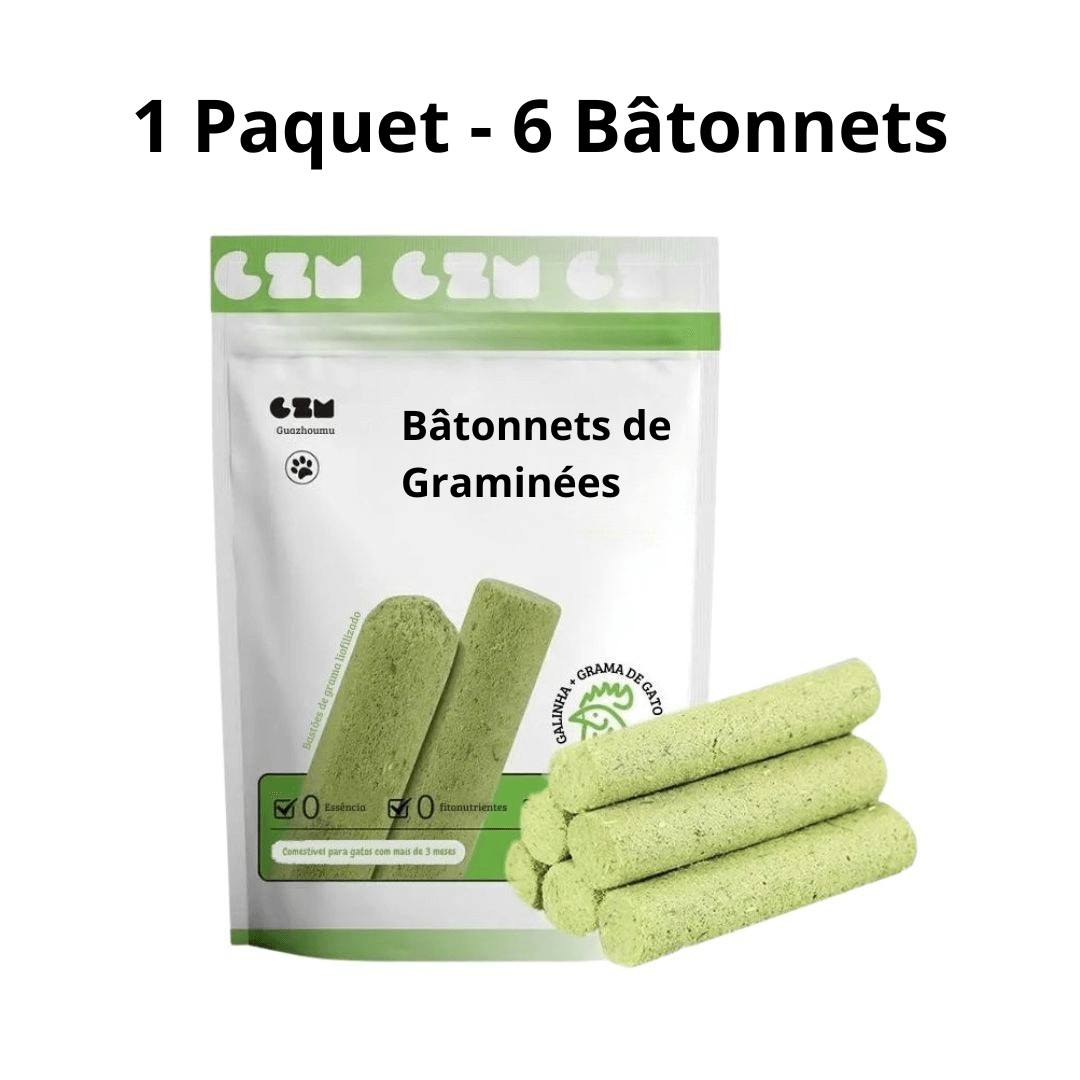 Bâtonnets de Graminées Comestibles pour Chats