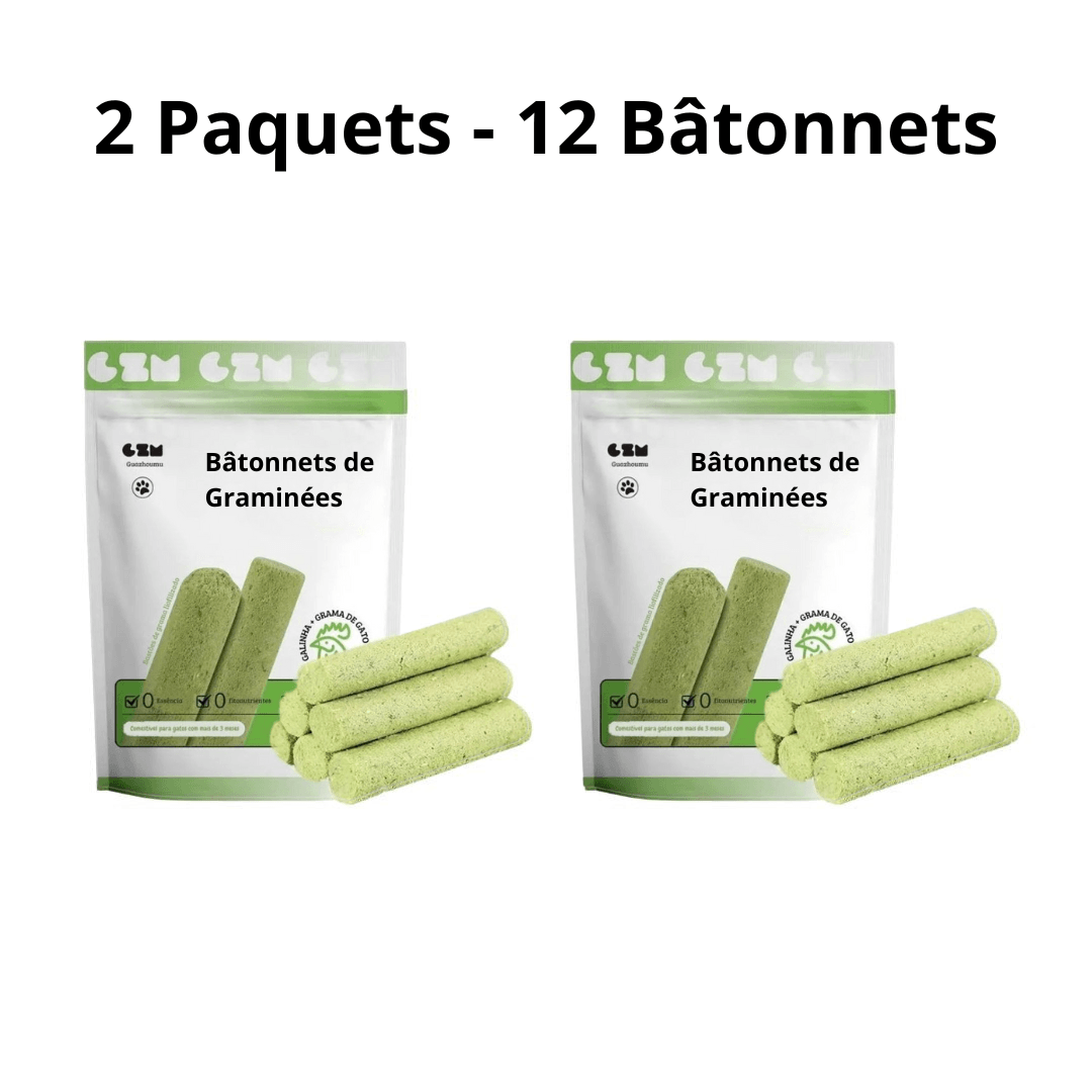 Bâtonnets de Graminées Comestibles pour Chats
