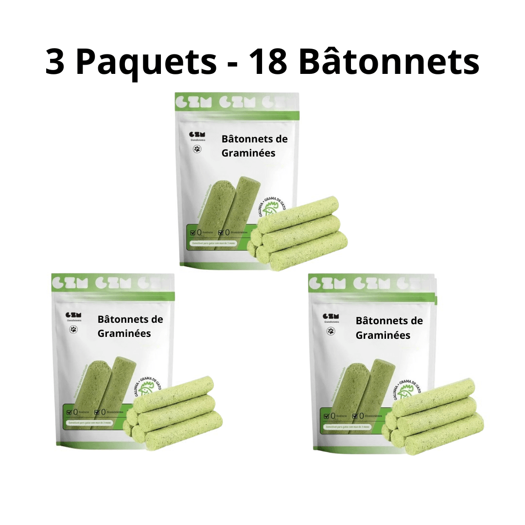 Bâtonnets de Graminées Comestibles pour Chats