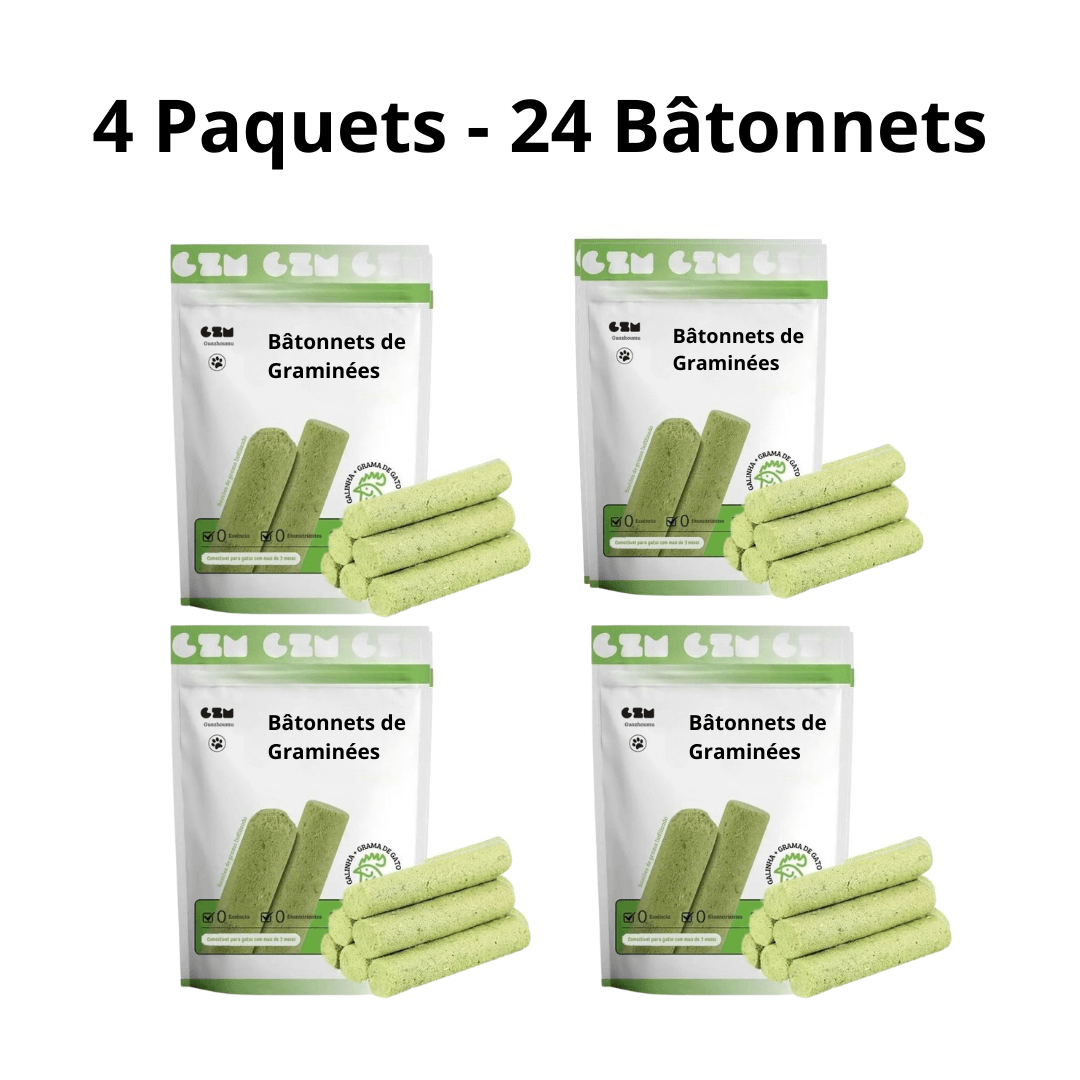 Bâtonnets de Graminées Comestibles pour Chats