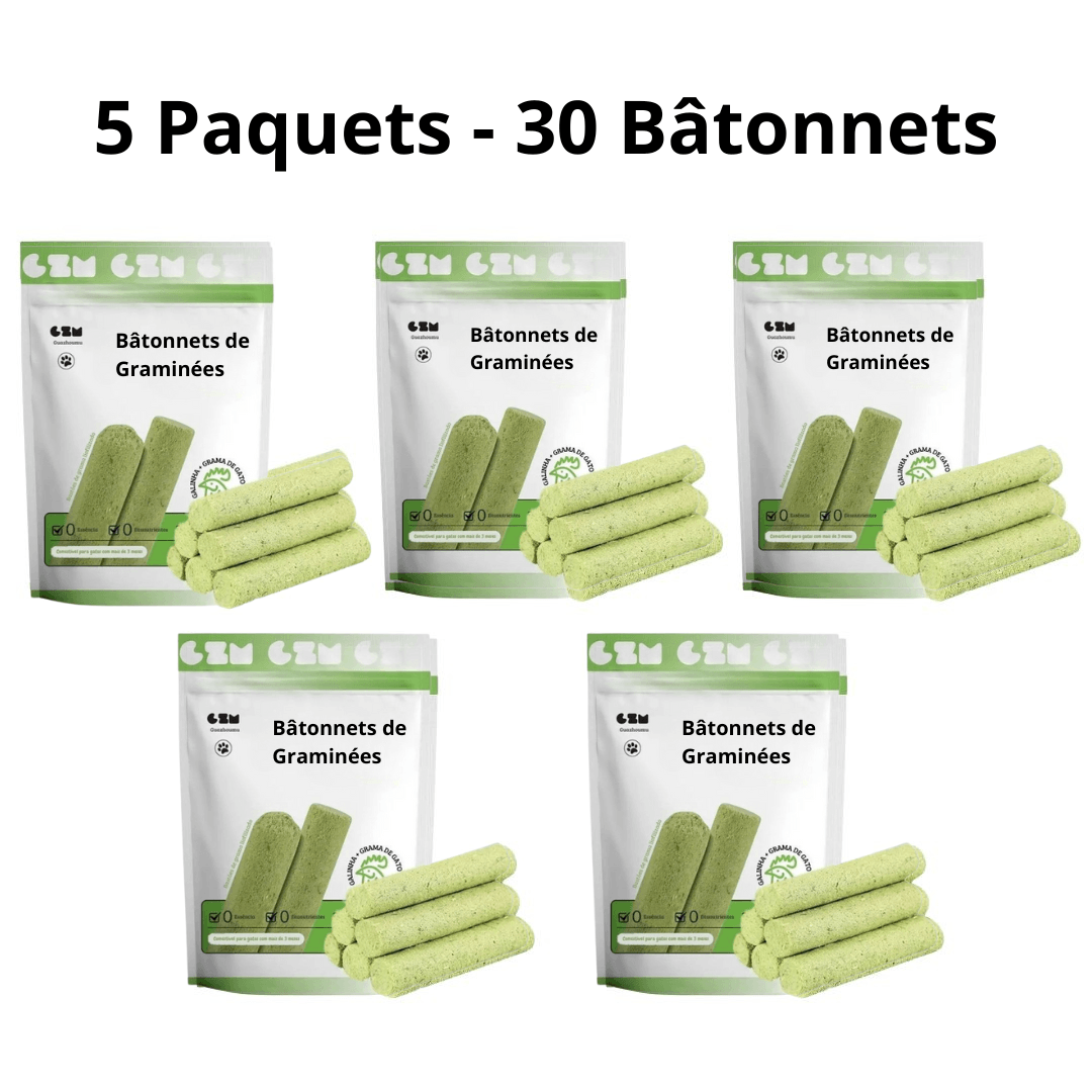 Bâtonnets de Graminées Comestibles pour Chats