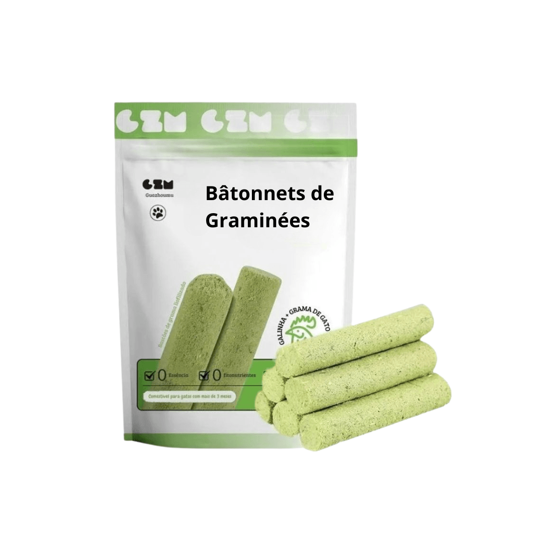 Bâtonnets de Graminées Comestibles pour Chats