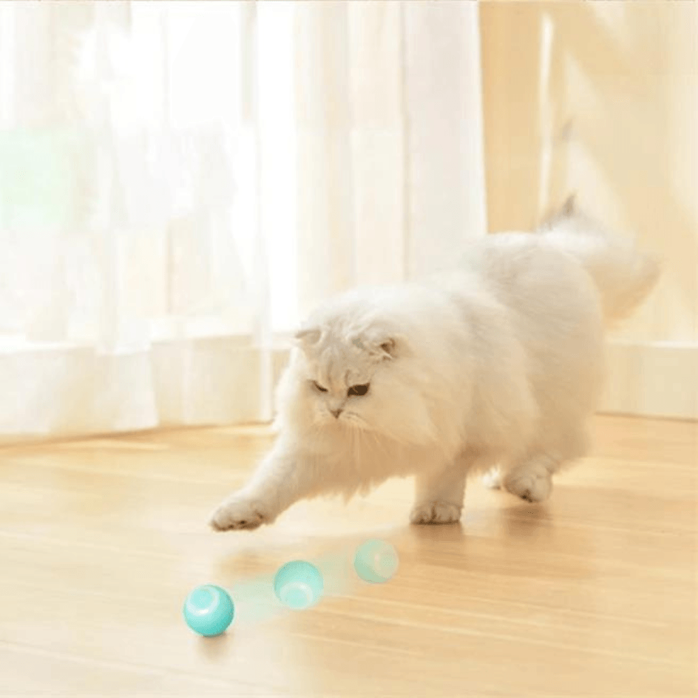 Jouet Boule Intelligente Électrique pour Chats