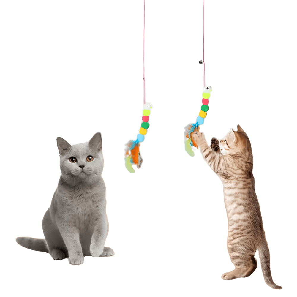 Jouet Suspendu avec Ventouse pour Chats