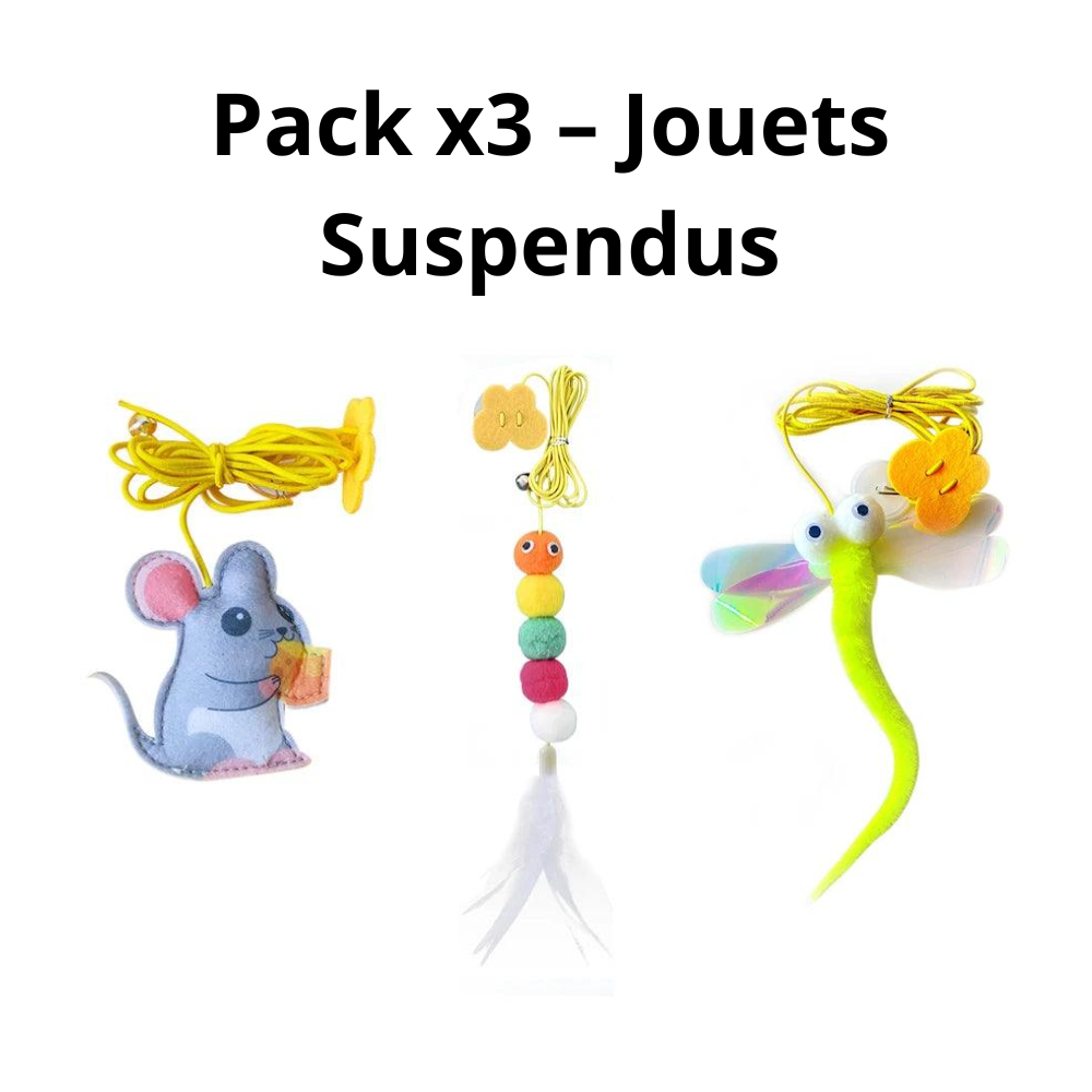 Jouet Suspendu avec Ventouse pour Chats