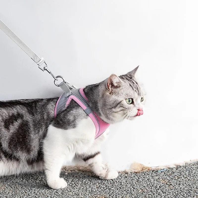 Collier Harnais Ajustable avec Laisse pour Animaux