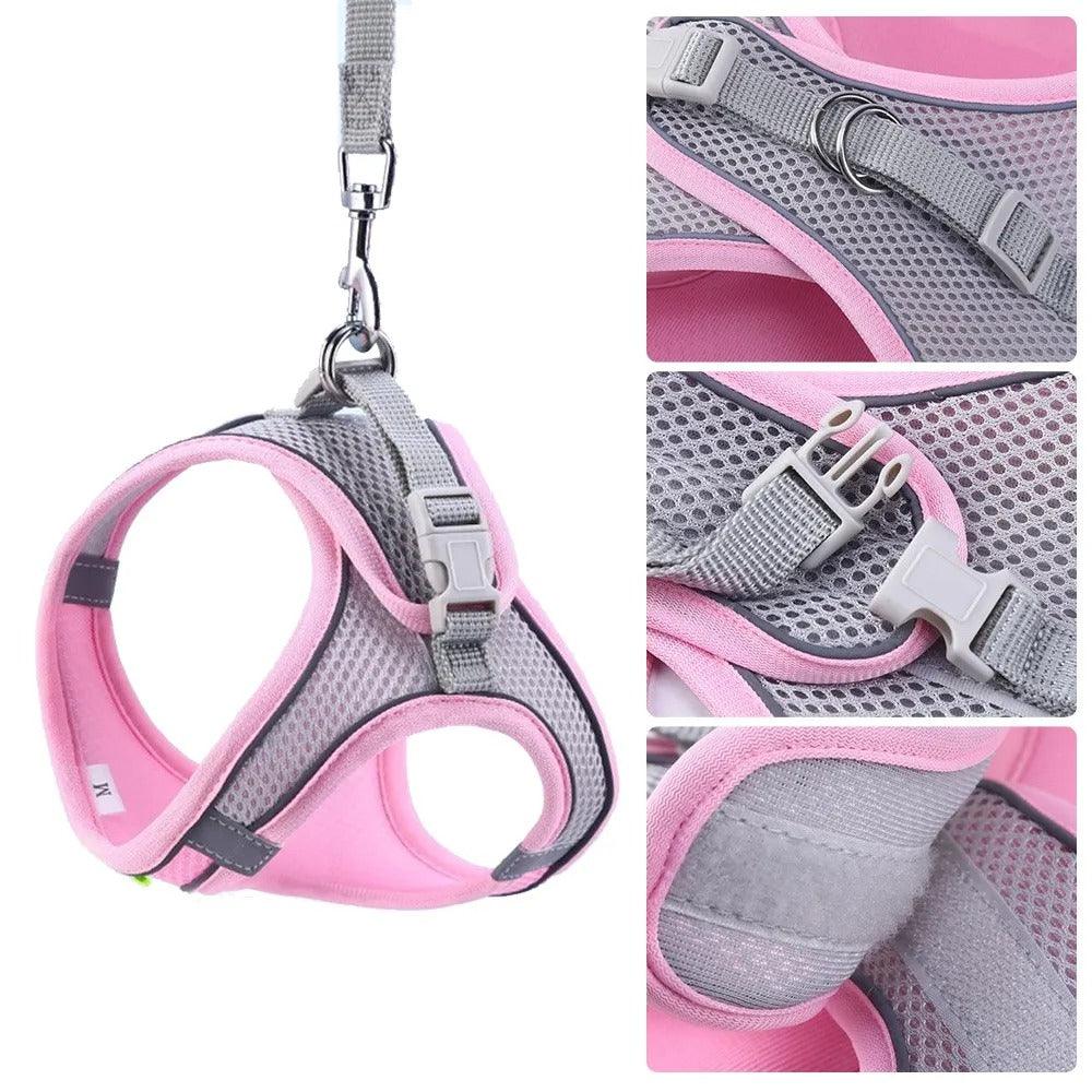 Collier Harnais Ajustable avec Laisse pour Animaux
