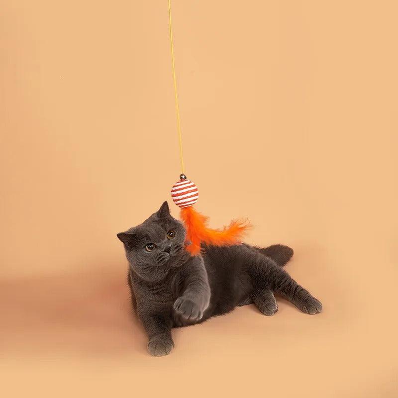 Jouet Suspendu avec Ventouse pour Chats