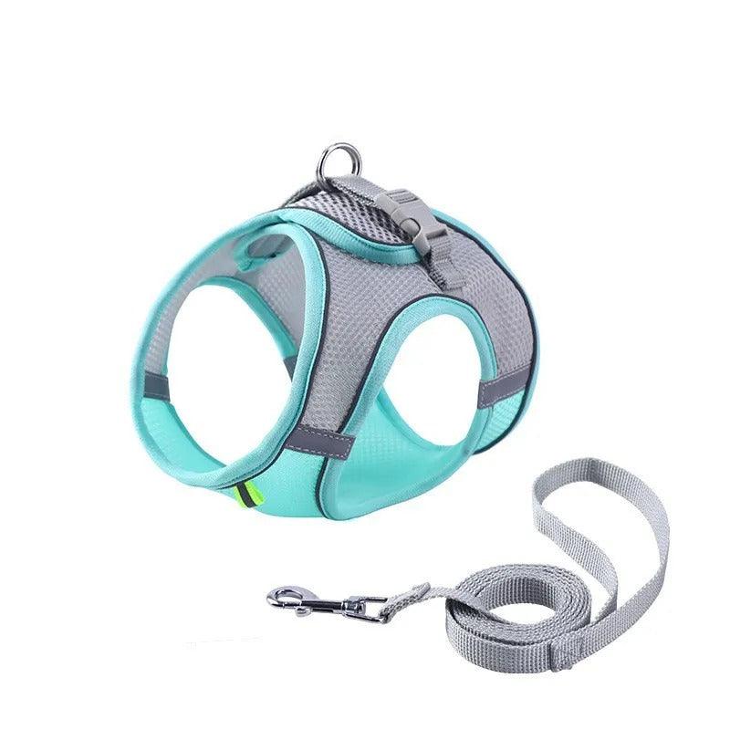 Collier Harnais Ajustable avec Laisse pour Animaux