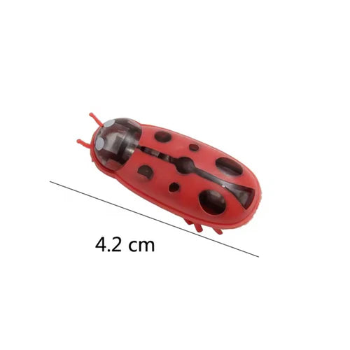 Insecte Électrique Interactif pour Chats