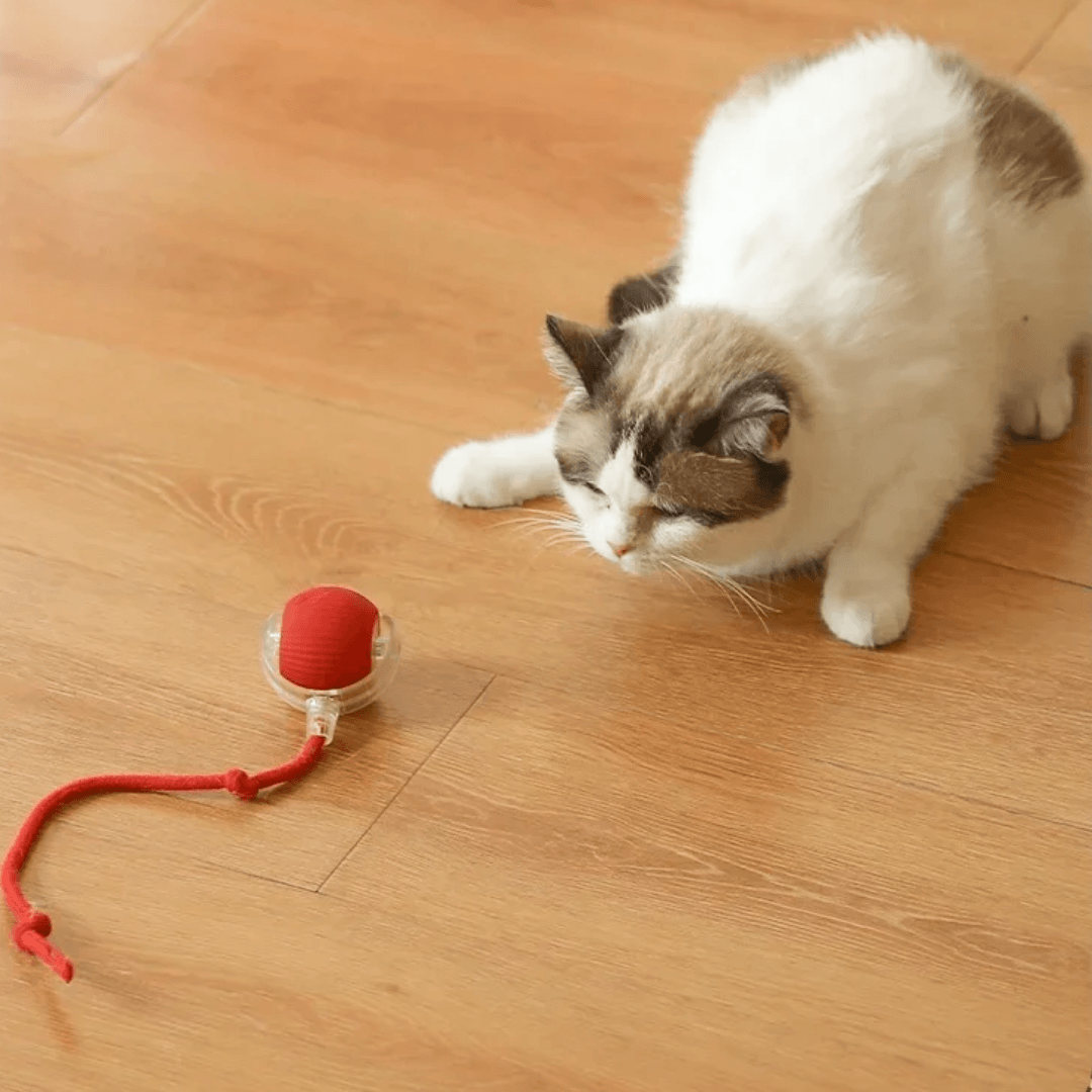 Jouet Balle de Chasse Électronique pour Chats