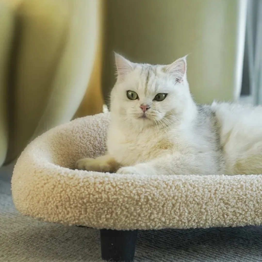 Canapé en Sisal pour Chats