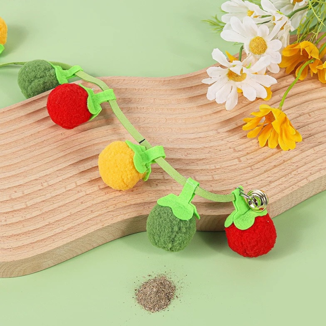 Jouet Fruits au Catnip pour Chats