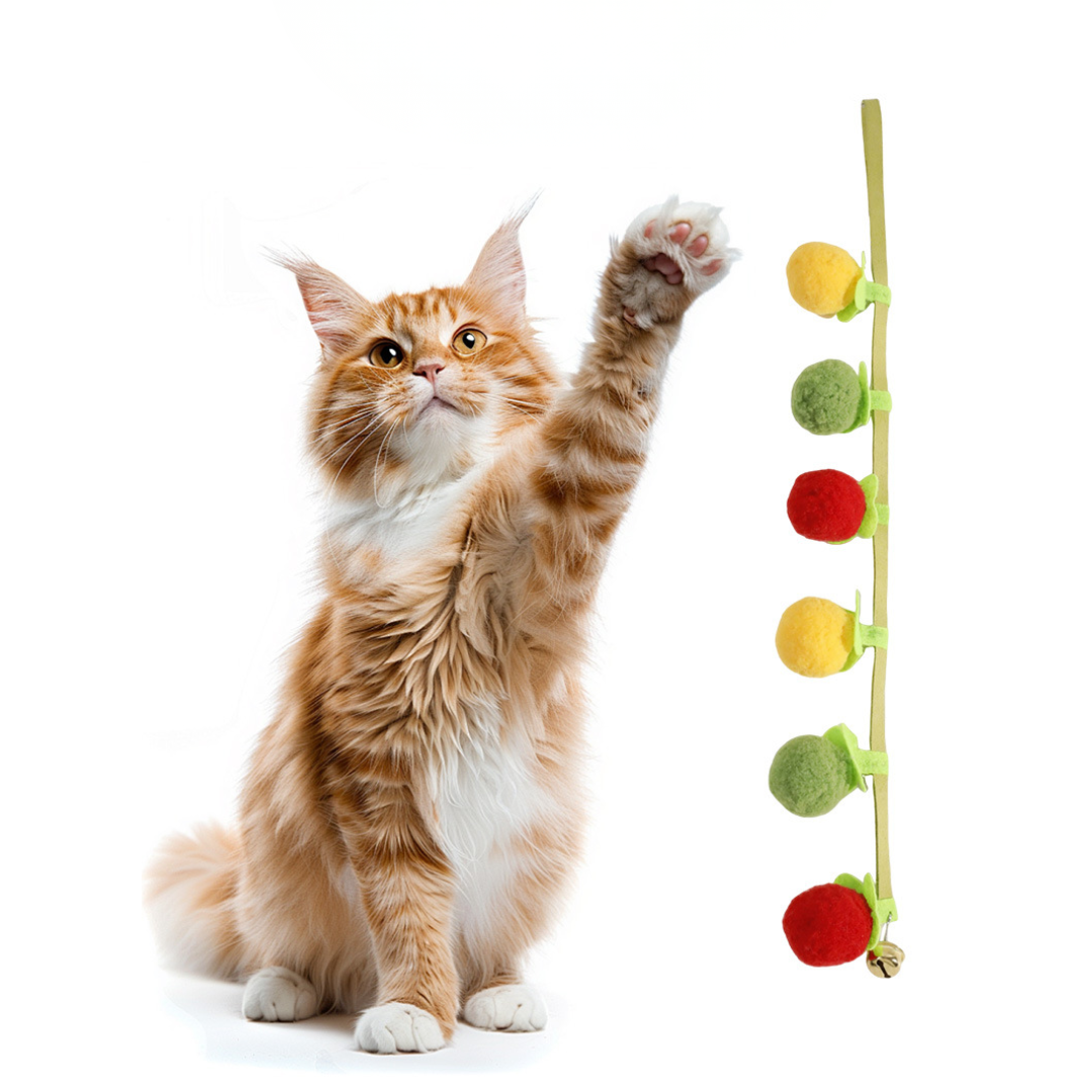 Jouet Fruits au Catnip pour Chats