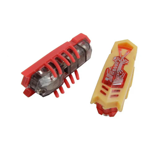 Insecte Électrique Interactif pour Chats