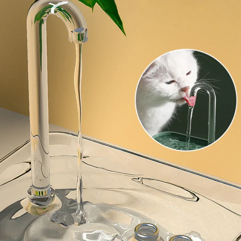 Fontaine à Eau Automatique pour Chats
