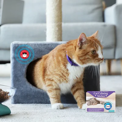Patchs aux Phéromones Apaisantes pour Chats