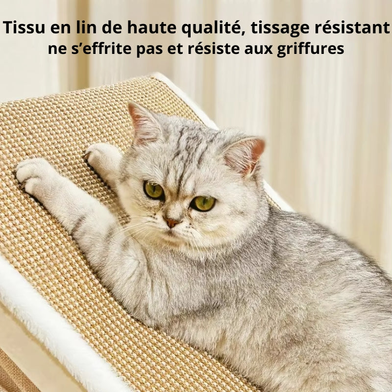 Tente Spacieuse pour Chat avec Griffoir