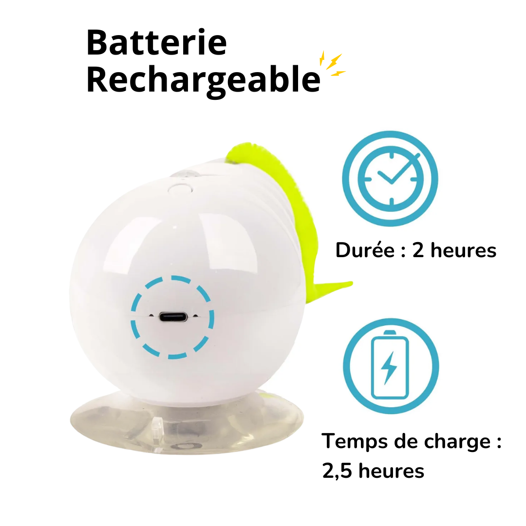 Jouet Électrique Chenille Interactive pour Chats