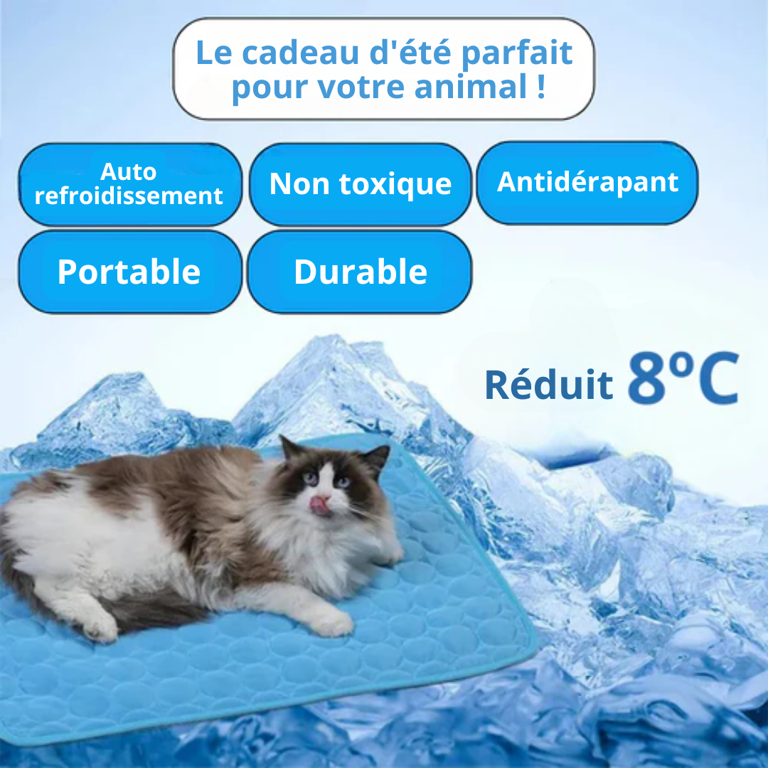 Tapis Rafraîchissant Anti-Chaleur