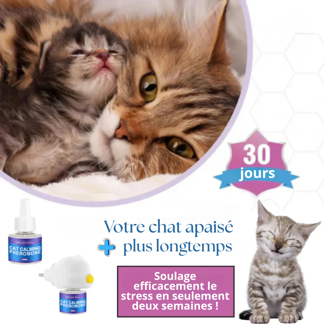 Diffuseur de Phéromones Apaisantes pour Chats