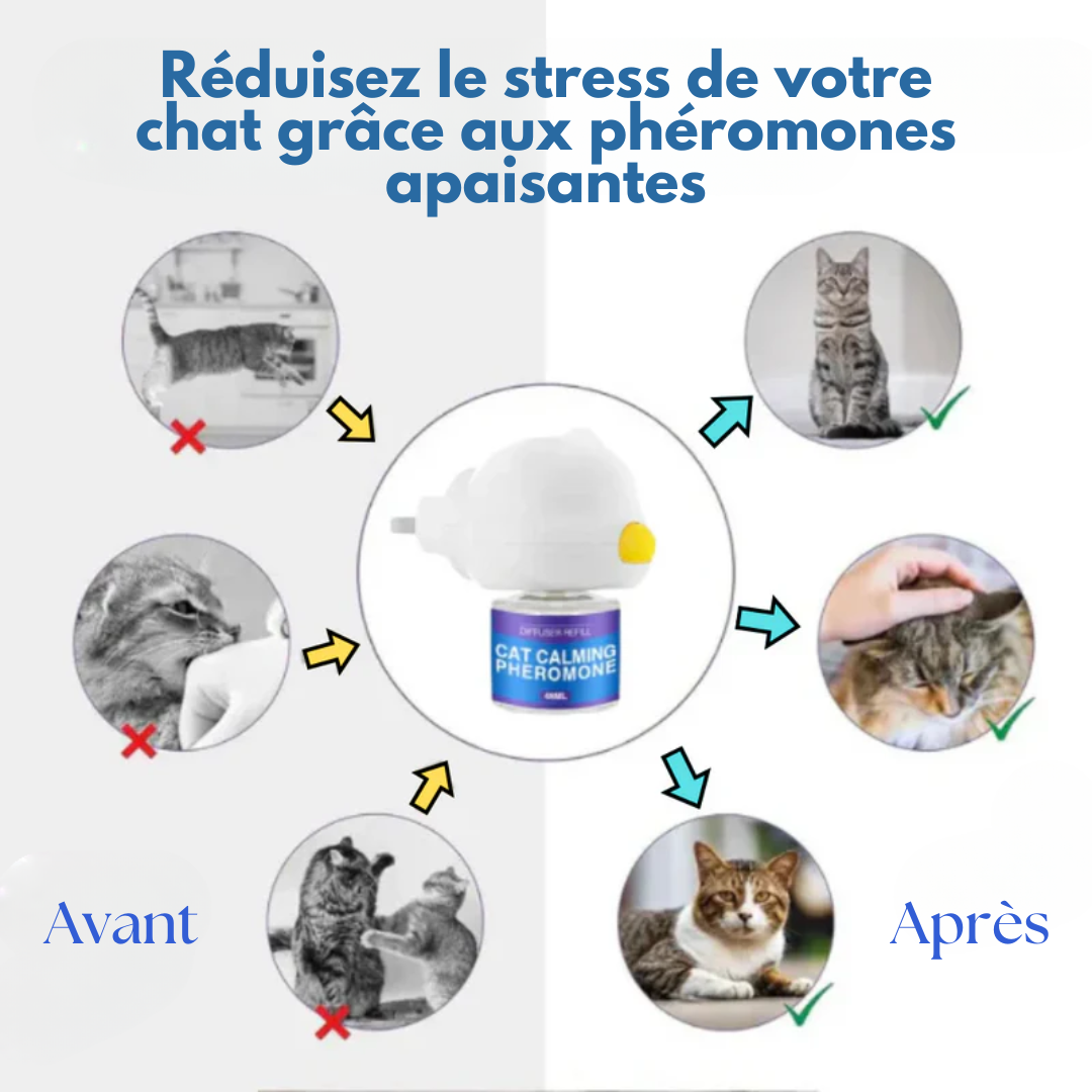 Diffuseur de Phéromones Apaisantes pour Chats