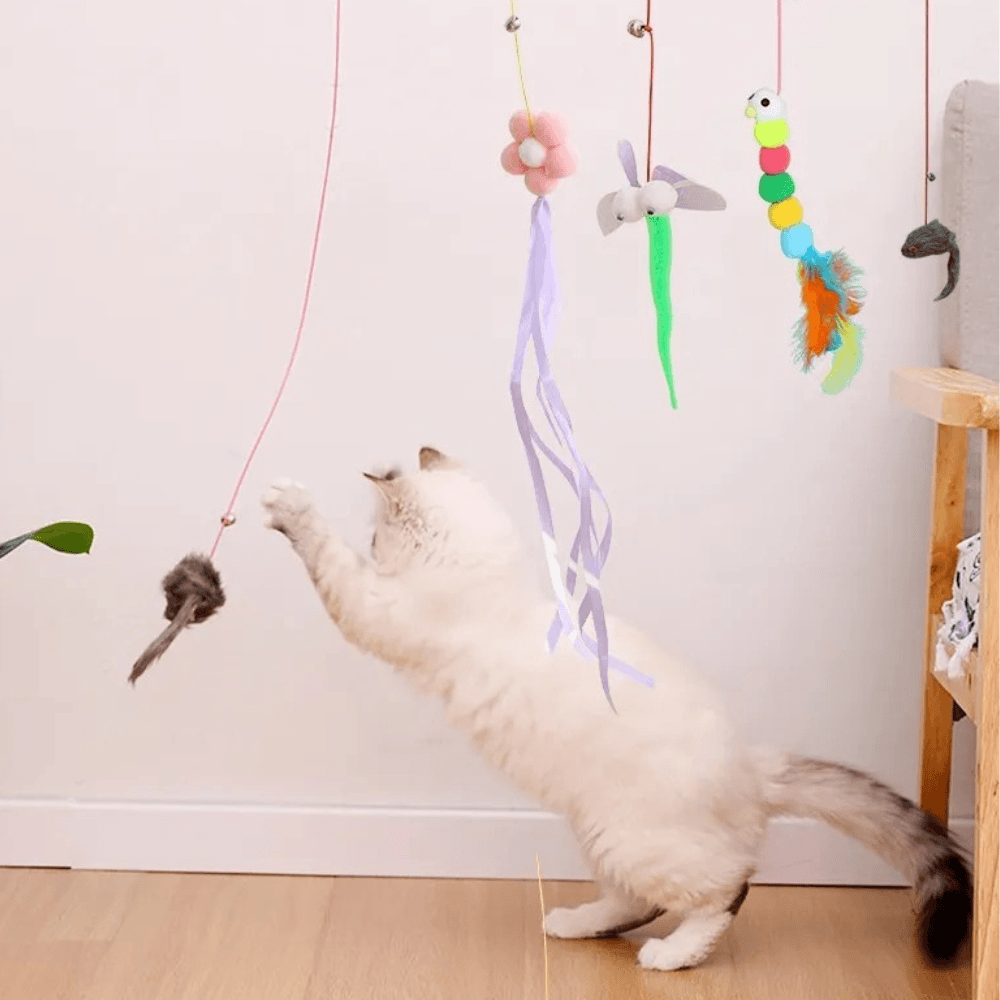 Jouet Suspendu avec Ventouse pour Chats