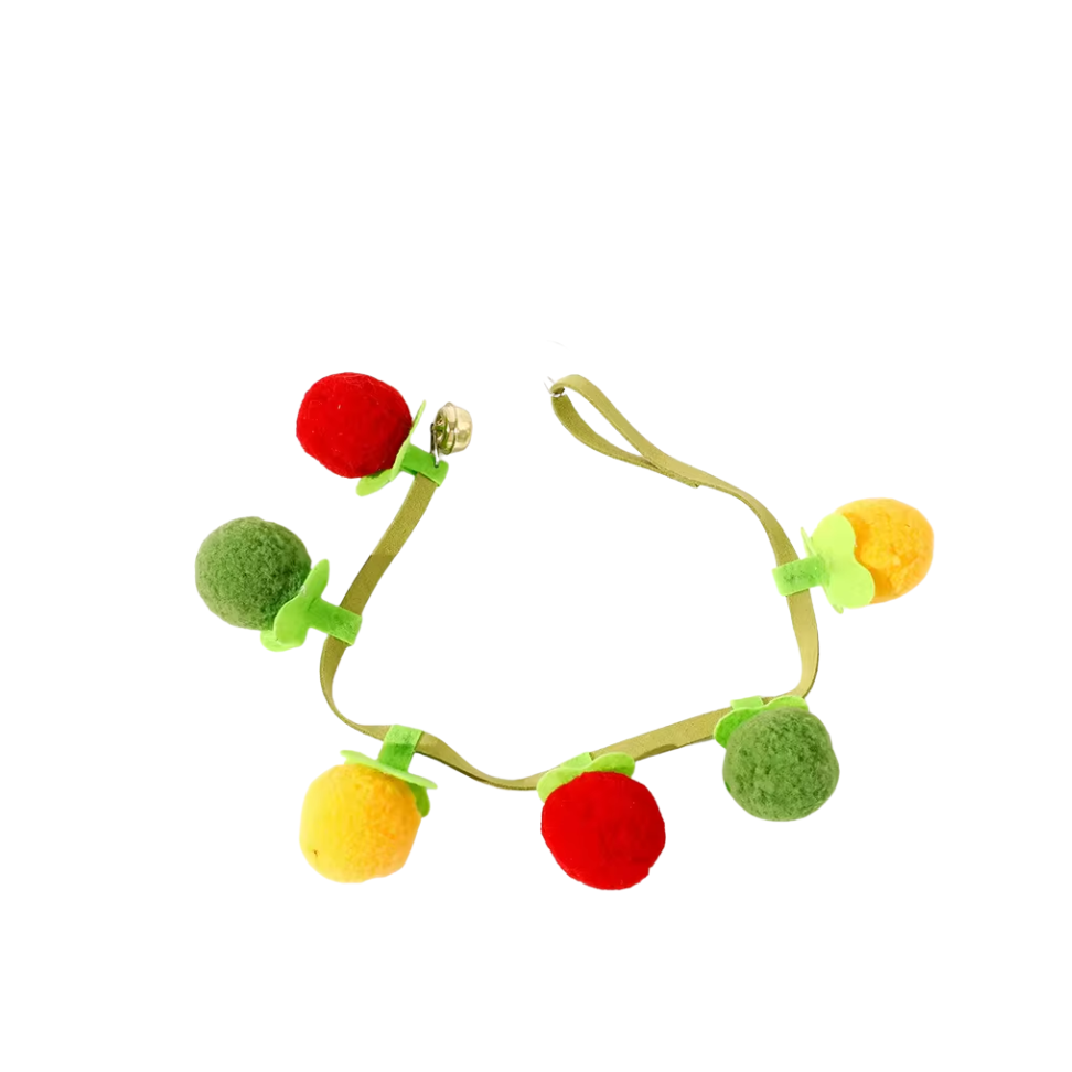 Jouet Fruits au Catnip pour Chats