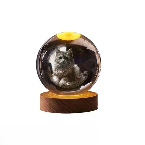 Lampe 3D Personnalisée – Avec la photo de votre chat