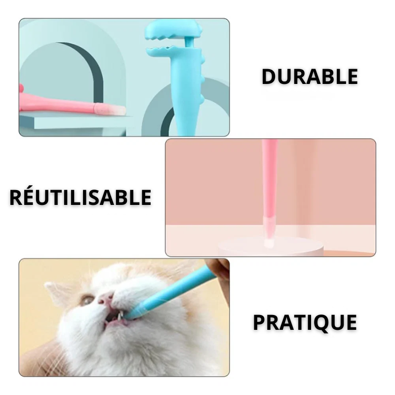 Applicateur de Médicaments pour Chat