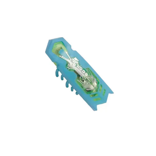 Insecte Électrique Interactif pour Chats