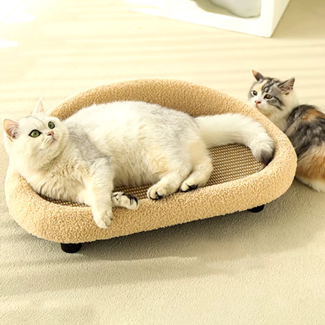 Canapé en Sisal pour Chats