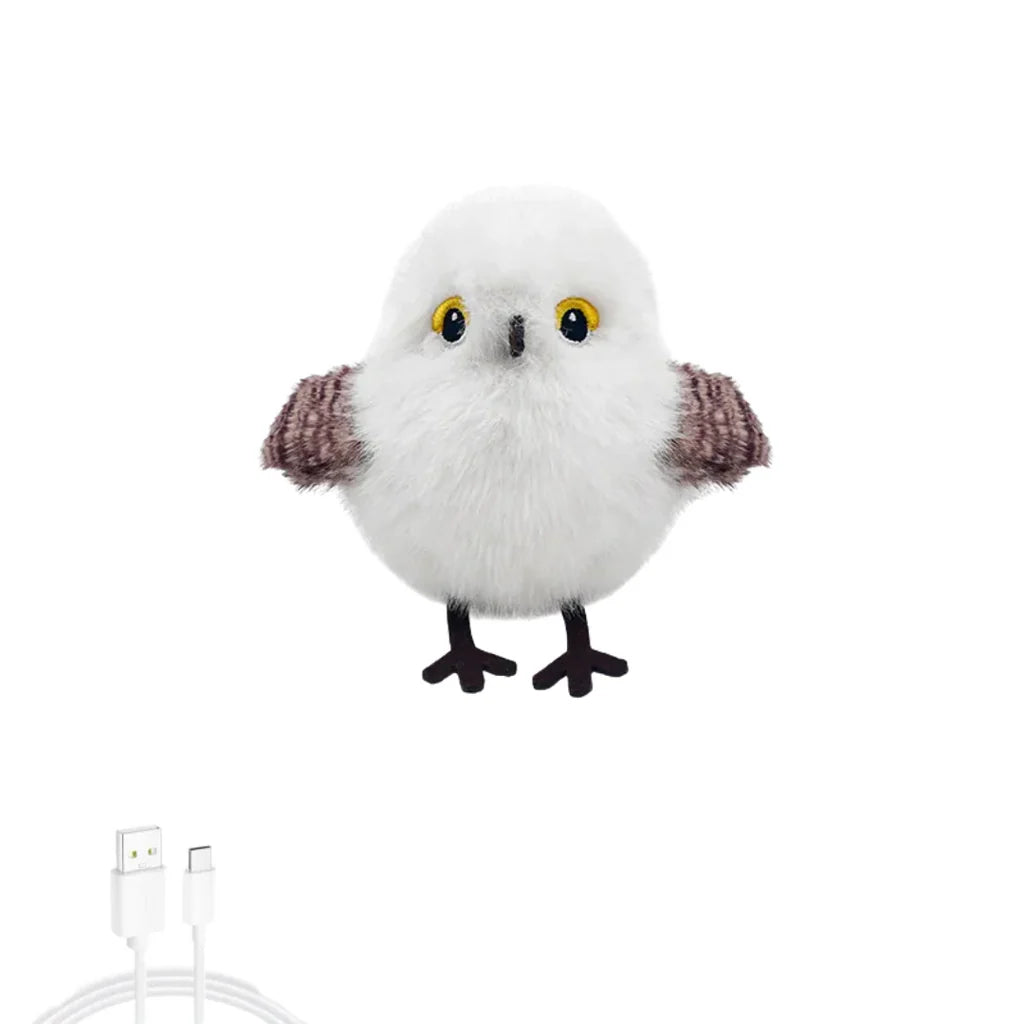 Oiseau Électrique Rechargeable pour Chats