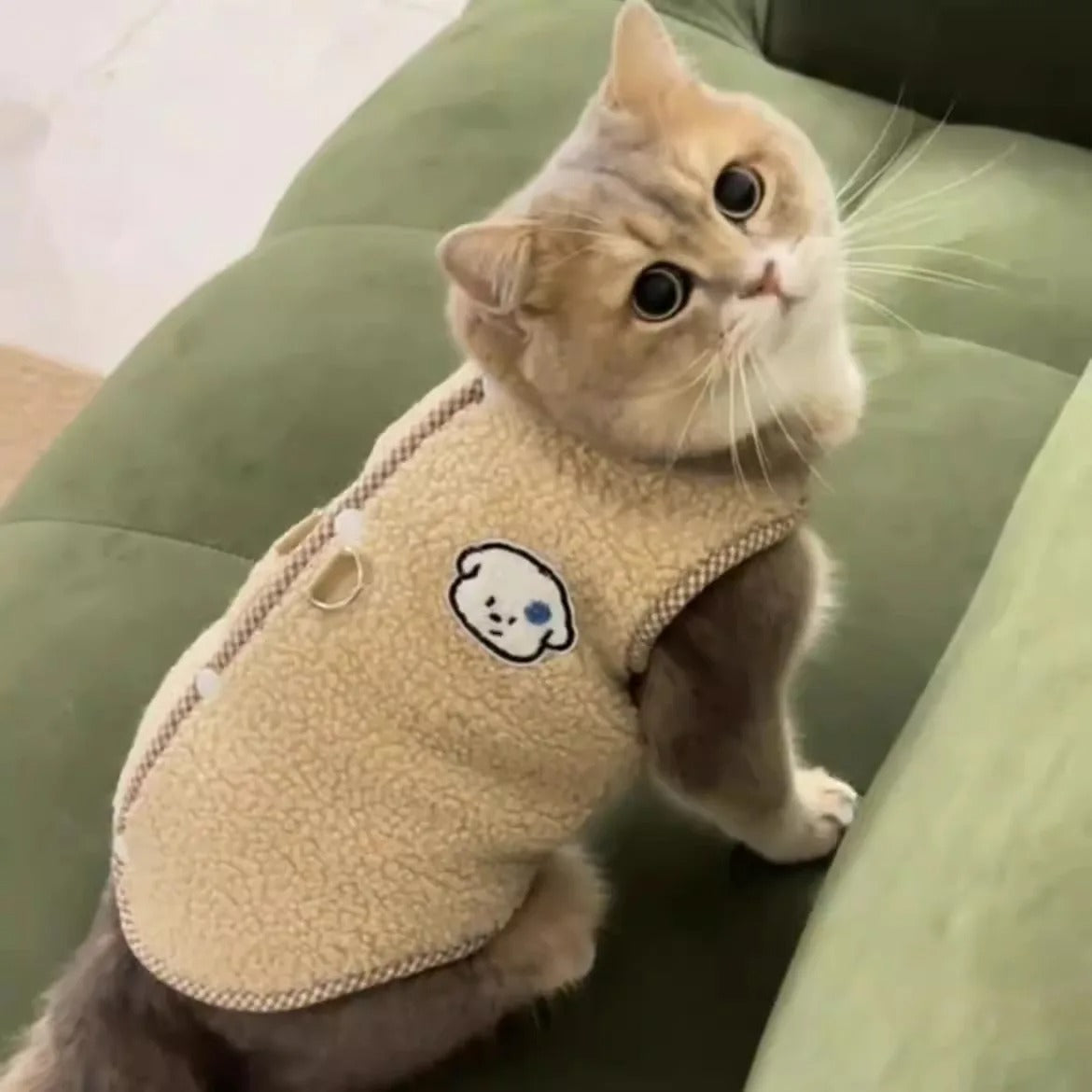 Gilet thermique en peluche pour chats