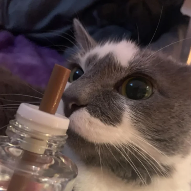 Diffuseur de Phéromones Apaisantes pour Chats