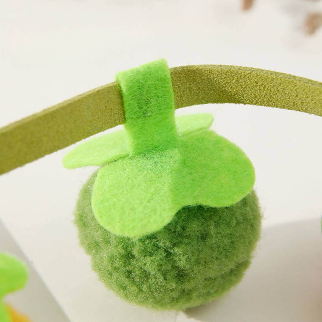 Jouet Fruits au Catnip pour Chats