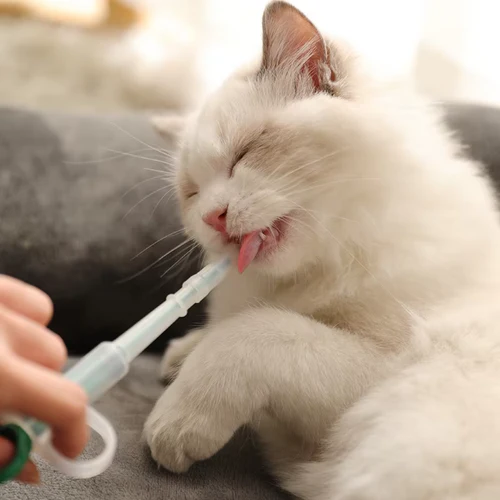 Seringue pour Médicaments pour Chats