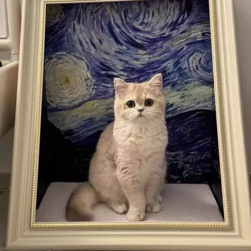 Tableau Griffoir Décoratif pour Chats