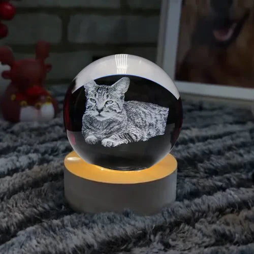 Lampe 3D Personnalisée – Avec la photo de votre chat