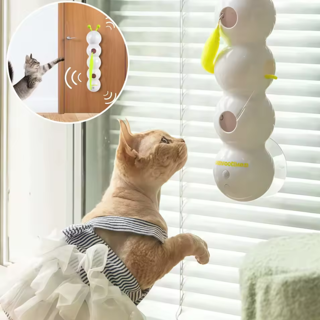 Jouet Électrique Chenille Interactive pour Chats
