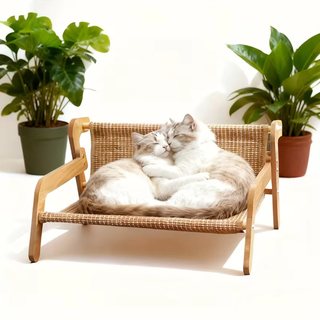 Fauteuil en Sisal pour Chats